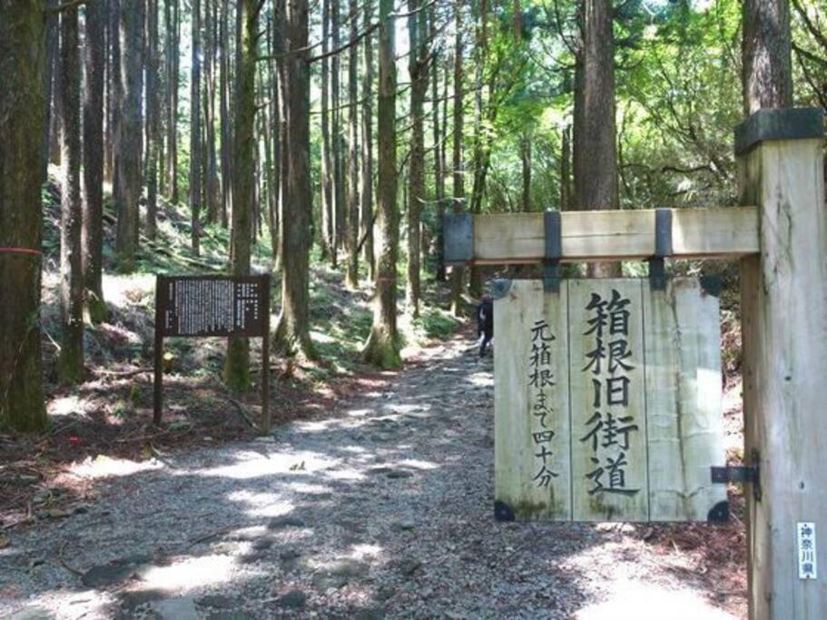 Ek House Hakone Shushinso 箱根修身荘 빌라 외부 사진