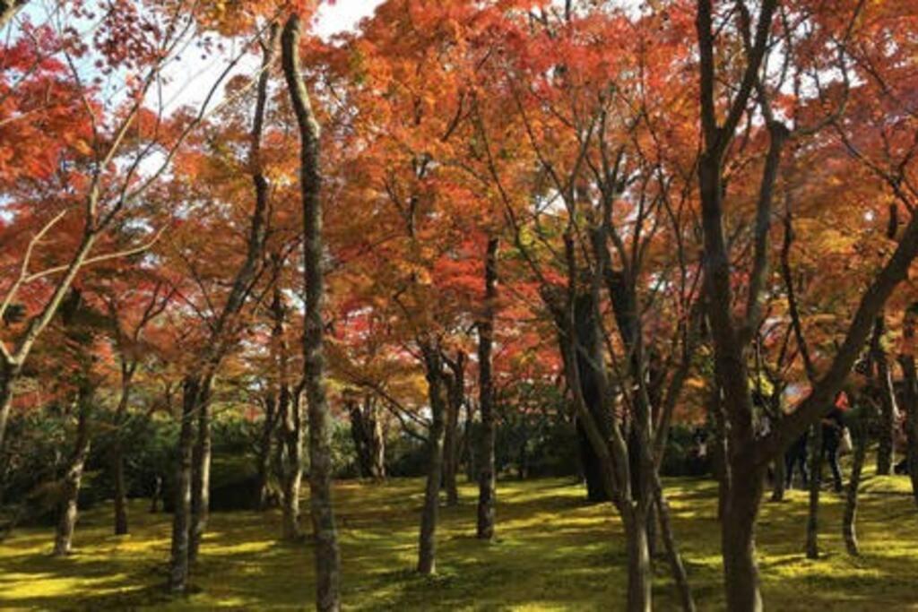 Ek House Hakone Shushinso 箱根修身荘 빌라 외부 사진